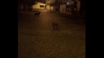 Catioro fudendo na mimha rua